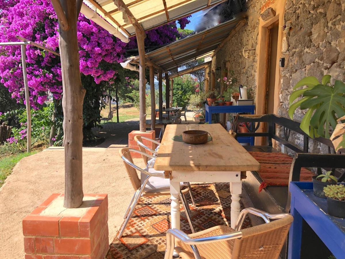 Wild Oasis - Algarve Pension Esgravatadouro Buitenkant foto