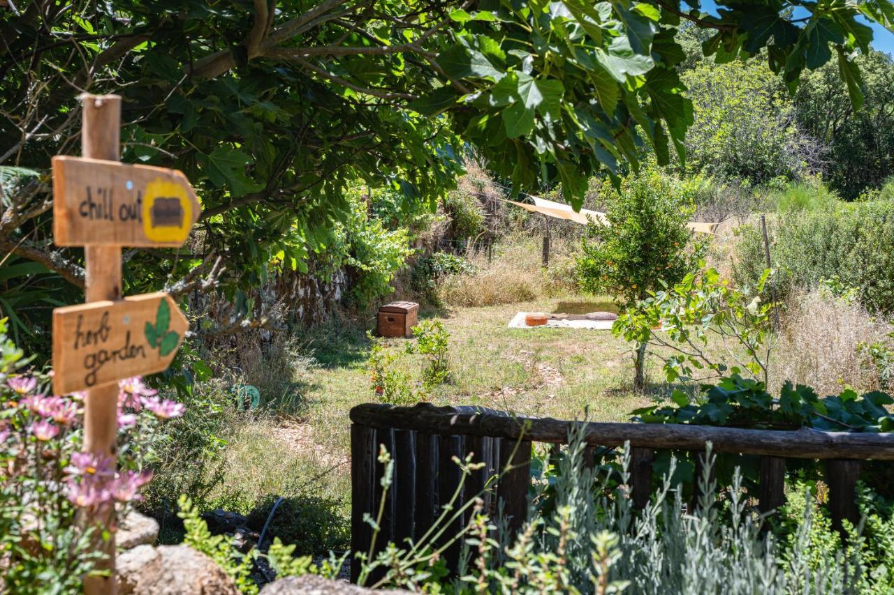 Wild Oasis - Algarve Pension Esgravatadouro Buitenkant foto